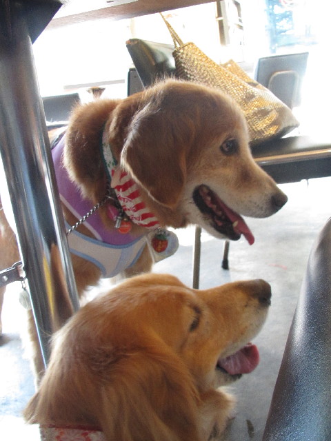 ファイル 2574-2.jpg