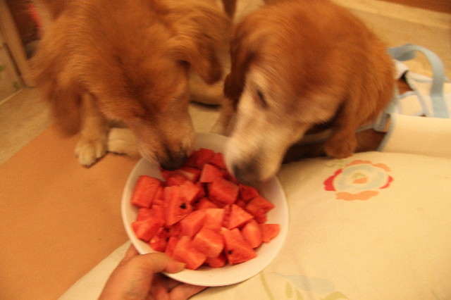 ファイル 2575-2.jpg