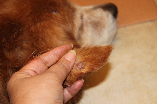 ファイル 2575-4.jpg