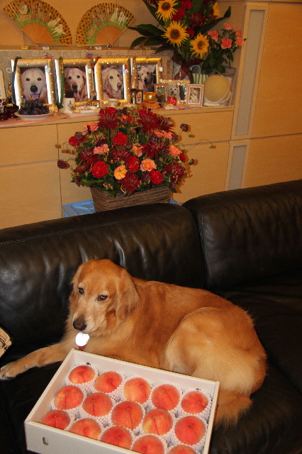 ファイル 2577-2.jpg