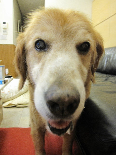 ファイル 2578-2.jpg