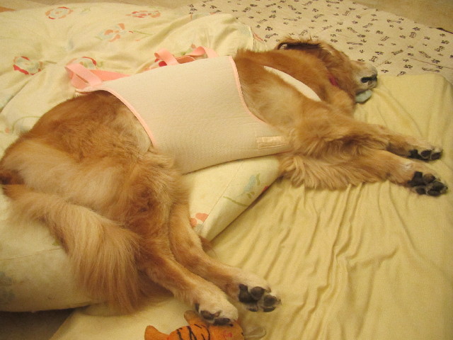 ファイル 2578-5.jpg