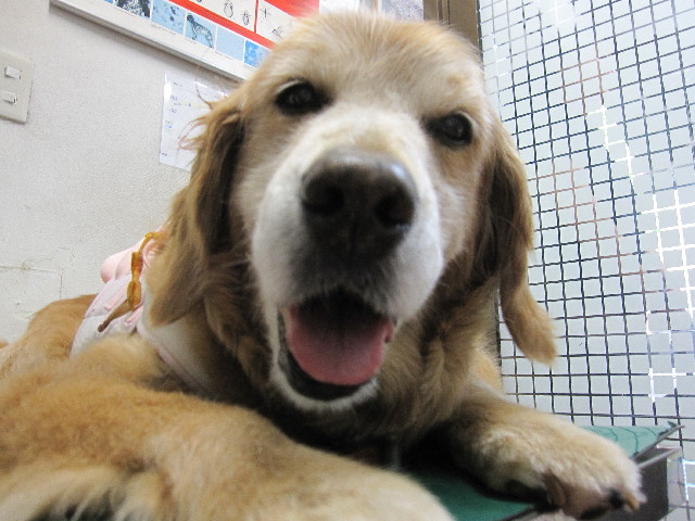 ファイル 2580-1.jpg