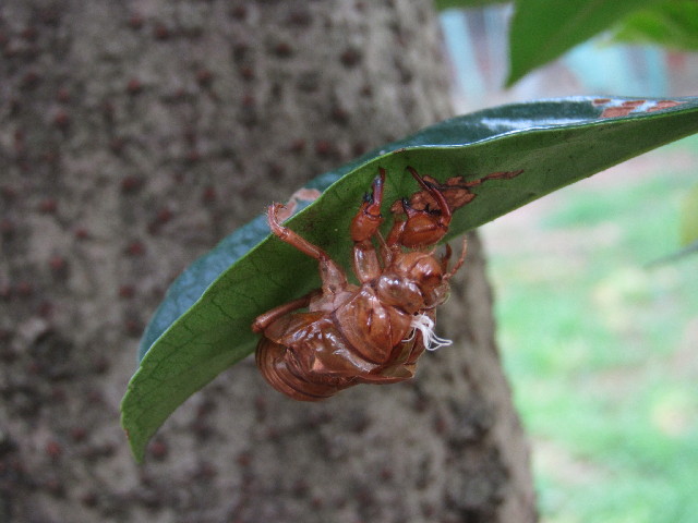 ファイル 2582-4.jpg