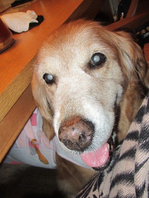 ファイル 2583-4.jpg