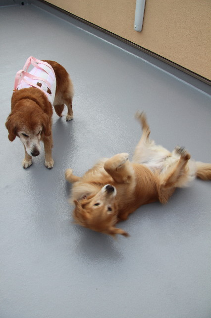 ファイル 2583-5.jpg