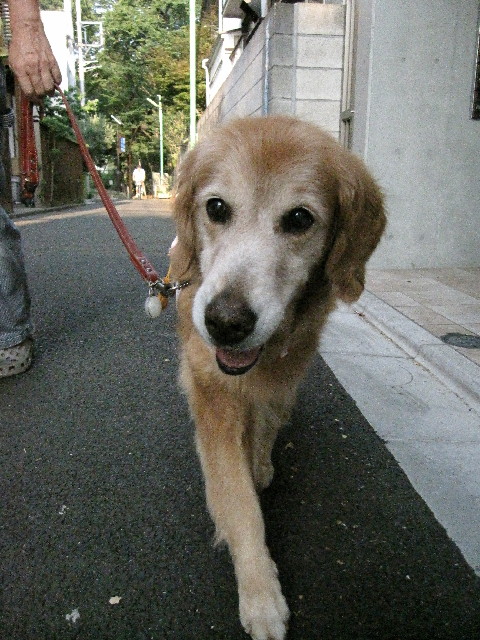 ファイル 2584-3.jpg