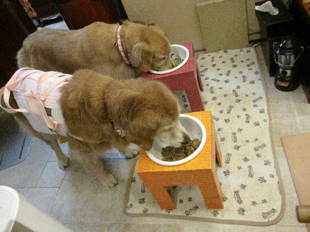 ファイル 2584-4.jpg