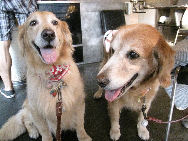 ファイル 2584-5.jpg