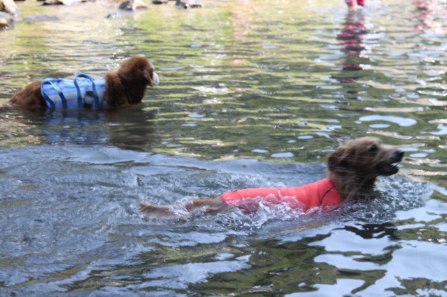 ファイル 2586-5.jpg