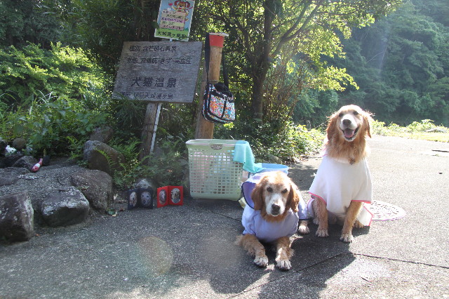 ファイル 2587-3.jpg