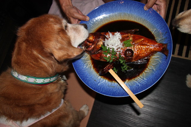 ファイル 2592-5.jpg