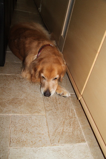 ファイル 2595-5.jpg