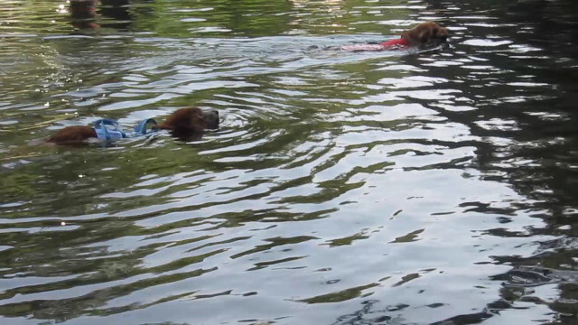 ファイル 2596-3.jpg