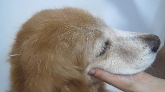 ファイル 2599-3.jpg