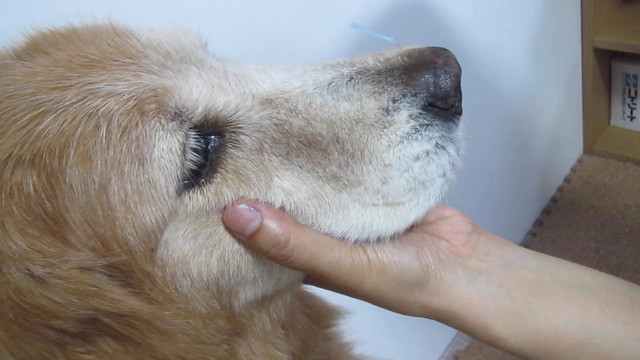 ファイル 2599-5.jpg