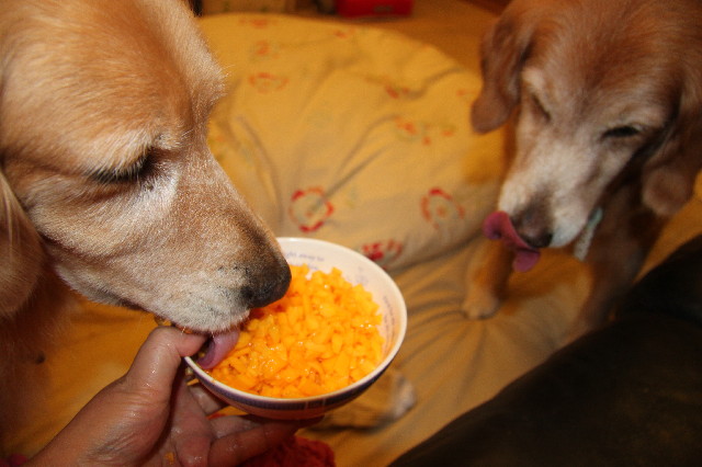 ファイル 2605-4.jpg