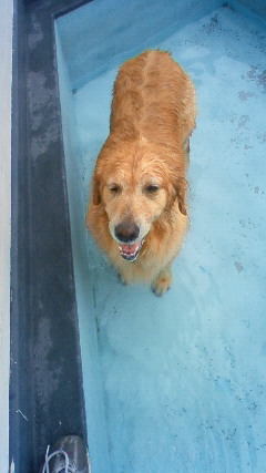 ファイル 2608-3.jpg