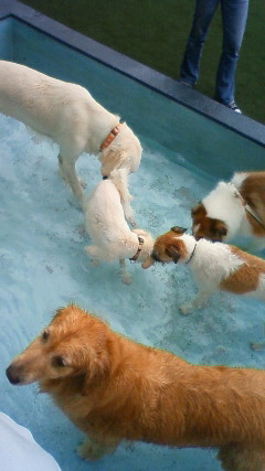 ファイル 2608-5.jpg