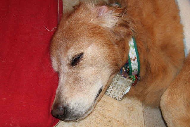 ファイル 2613-3.jpg