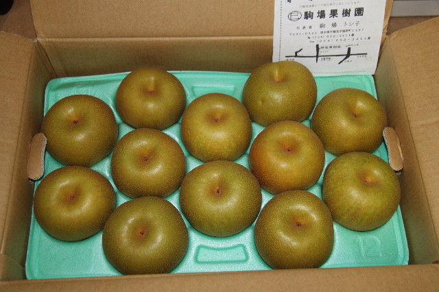 ファイル 2618-1.jpg