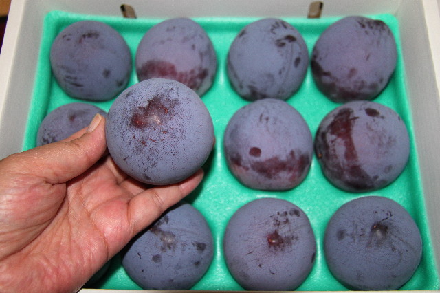 ファイル 2618-3.jpg