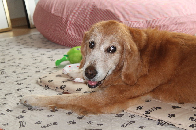 ファイル 2619-4.jpg