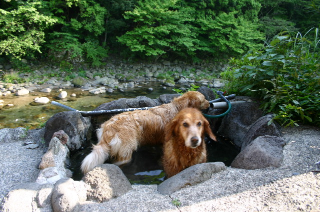 ファイル 262-4.jpg