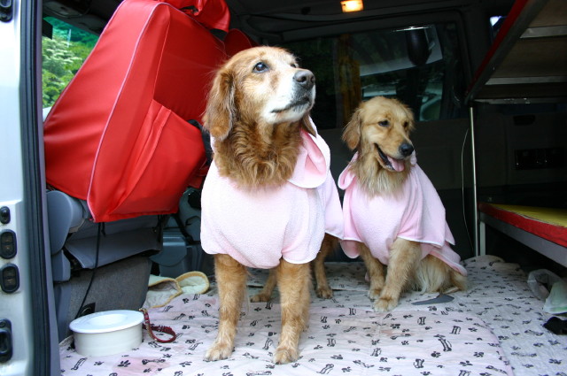 ファイル 262-5.jpg