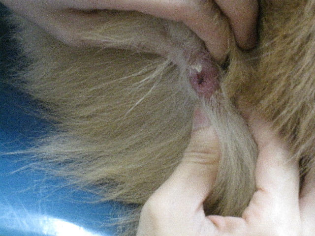 ファイル 2620-3.jpg