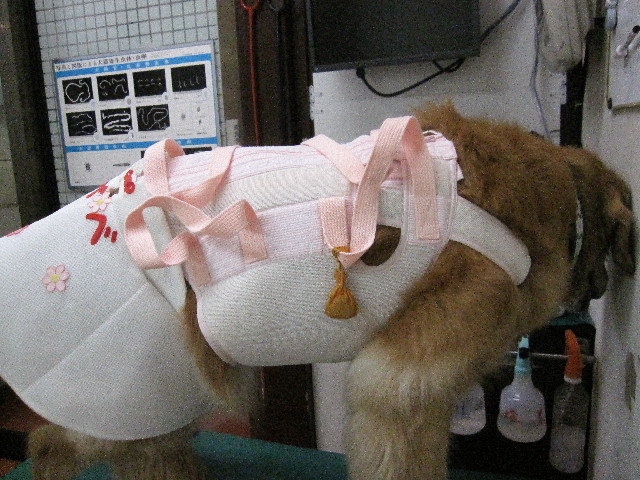 ファイル 2622-3.jpg