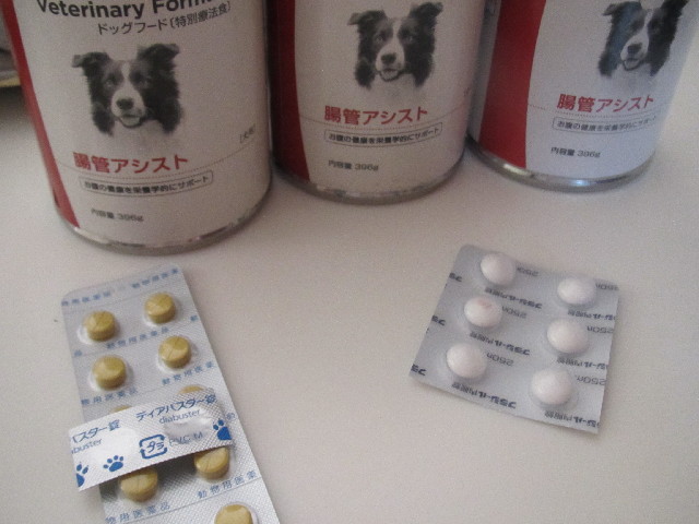 ファイル 2622-4.jpg