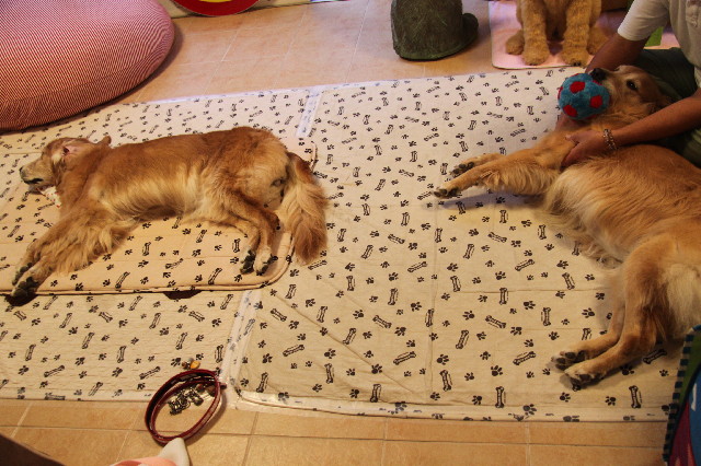 ファイル 2622-5.jpg