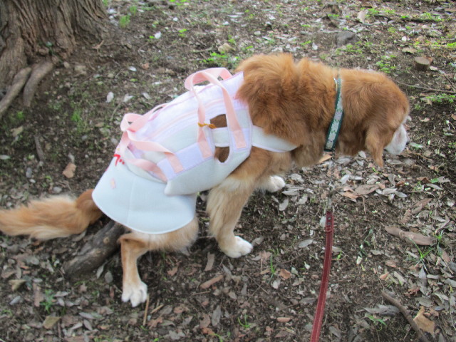 ファイル 2624-3.jpg