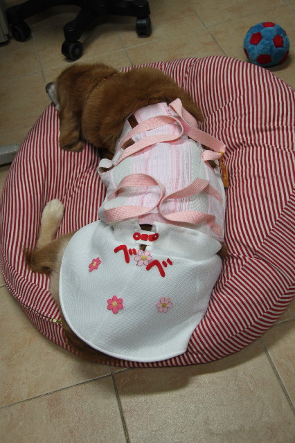 ファイル 2624-4.jpg