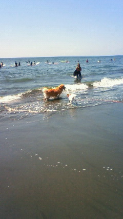 ファイル 2625-2.jpg