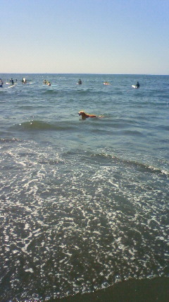 ファイル 2625-5.jpg