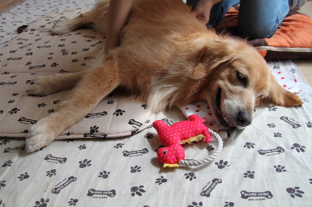 ファイル 2626-4.jpg