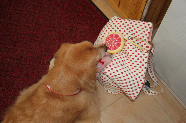 ファイル 2627-1.jpg