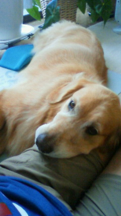 ファイル 2627-4.jpg