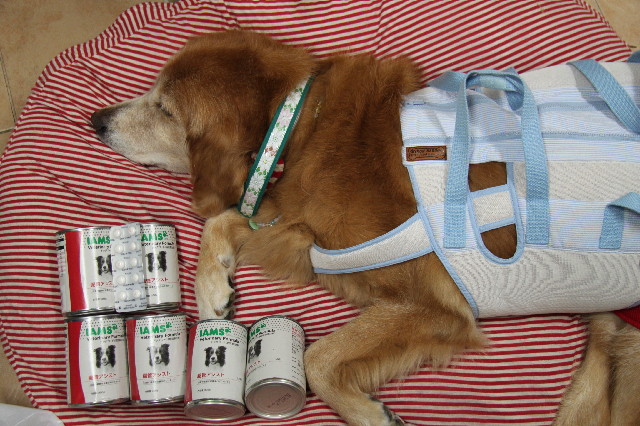 ファイル 2628-1.jpg