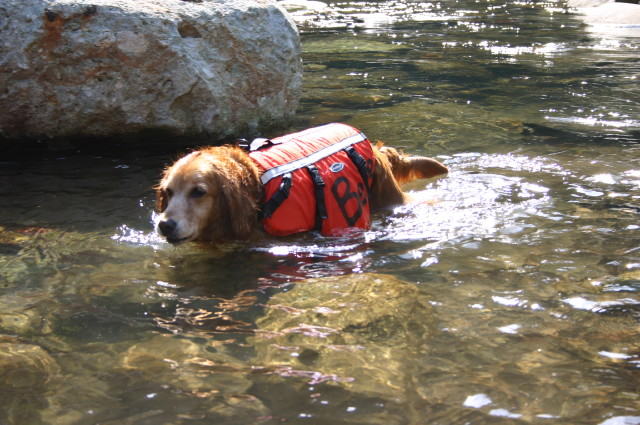 ファイル 263-2.jpg