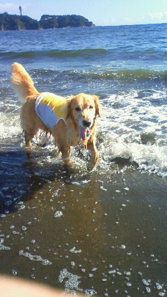 ファイル 2630-4.jpg