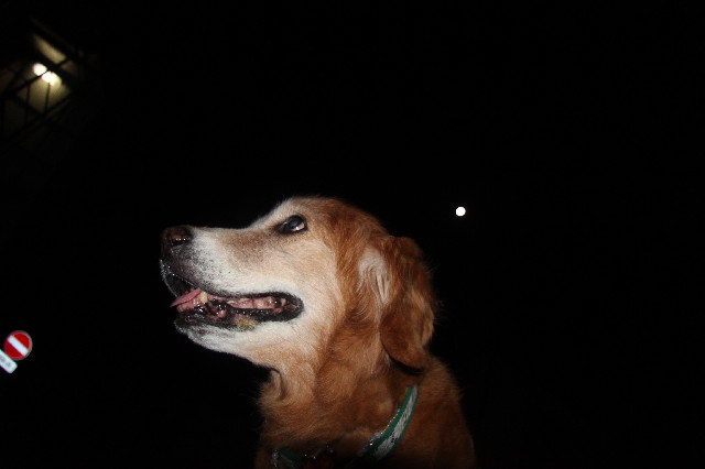 ファイル 2633-5.jpg