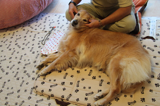 ファイル 2634-2.jpg