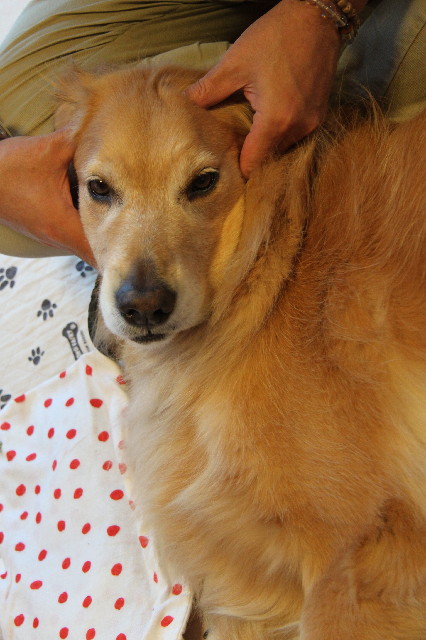 ファイル 2634-3.jpg