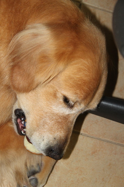 ファイル 2634-4.jpg