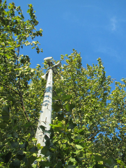 ファイル 2635-2.jpg