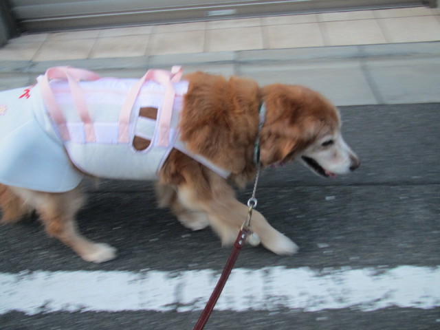 ファイル 2635-4.jpg