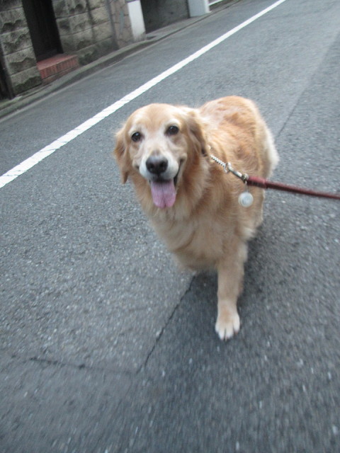 ファイル 2635-5.jpg